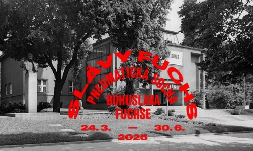 C114 Rekonstrukce Domu umění